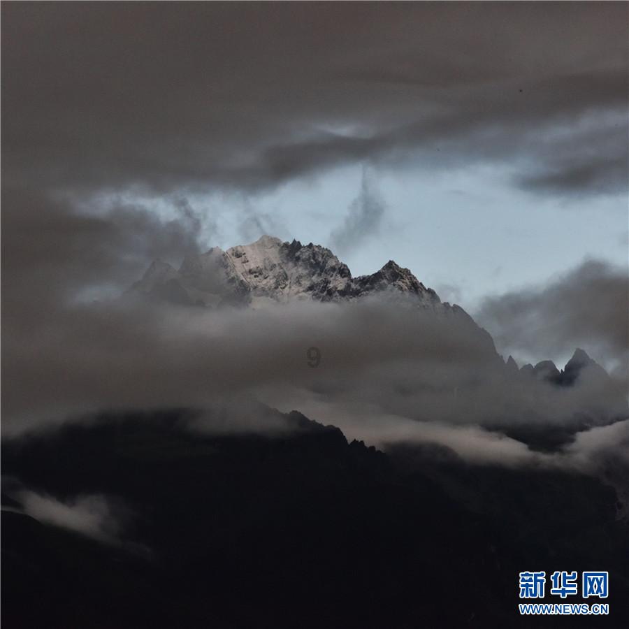 小长颈鹿逃离