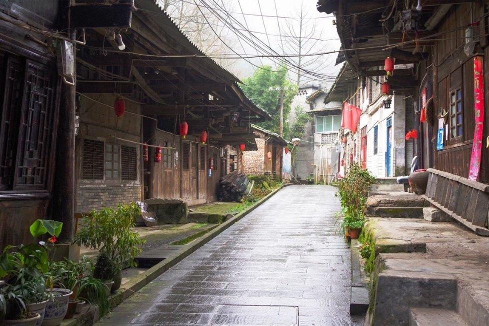 瑞德的冒险之旅中文版